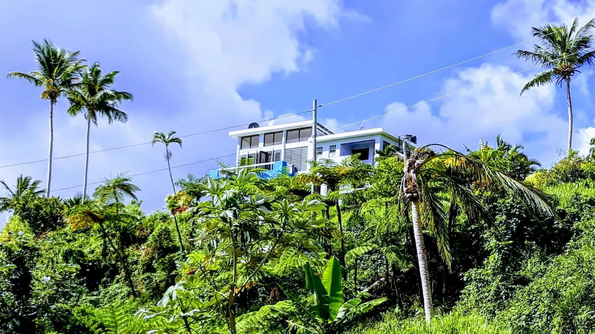 Jubilee Campsite Swim & Paint Las Piedras Puerto Rico